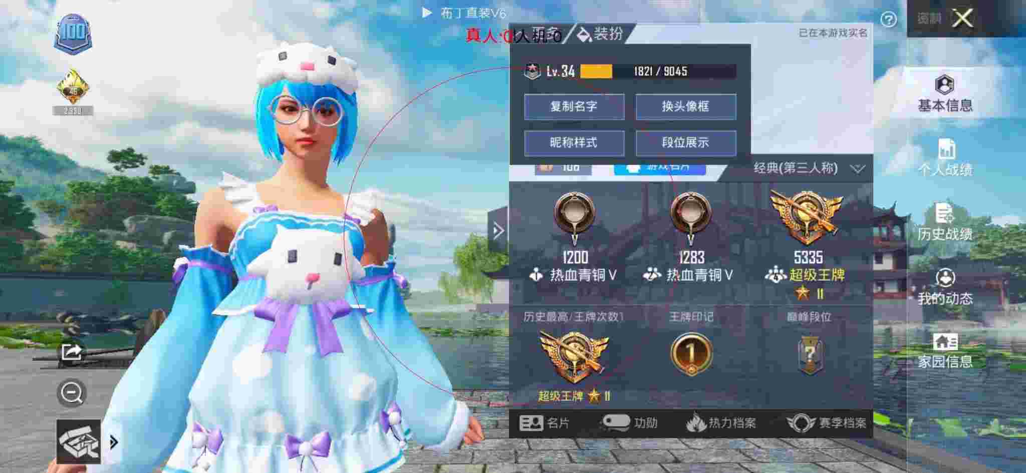 和平精英布丁直装透视 - 和平精英大白阁辅助ios下载辅助预览图
